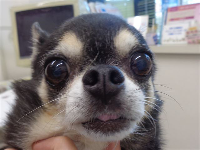 そうすけちゃん