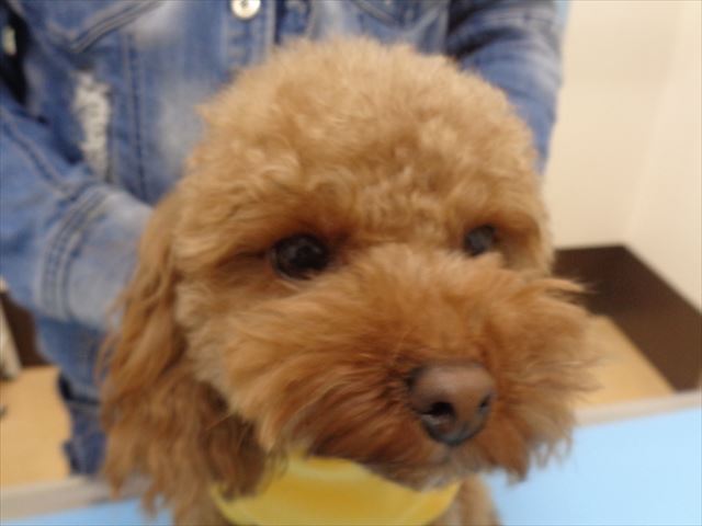 いちろうちゃん