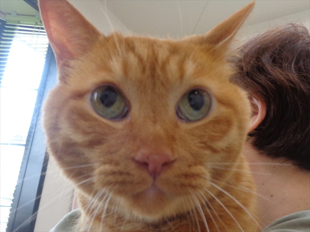 ピーターちゃん