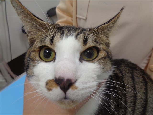 ムーサンちゃん