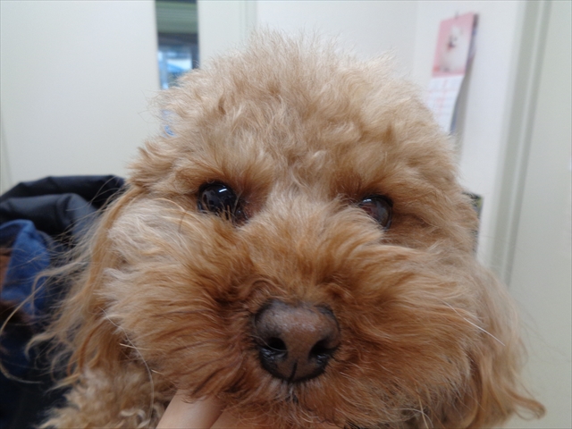 いちろうちゃん