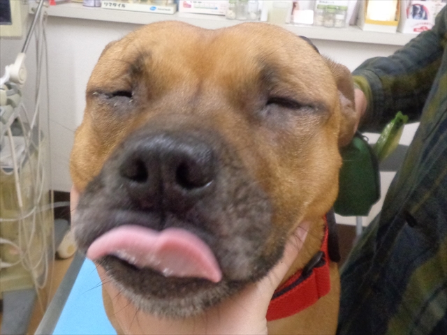 なっくるちゃん